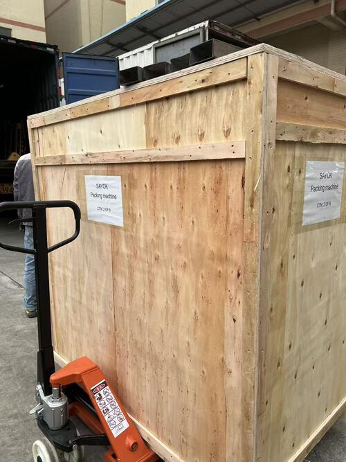 ultimo caso aziendale circa Macchina confezionatrice di cuscini personalizzata per rotoli di garza e confezionamento di guanti da esame