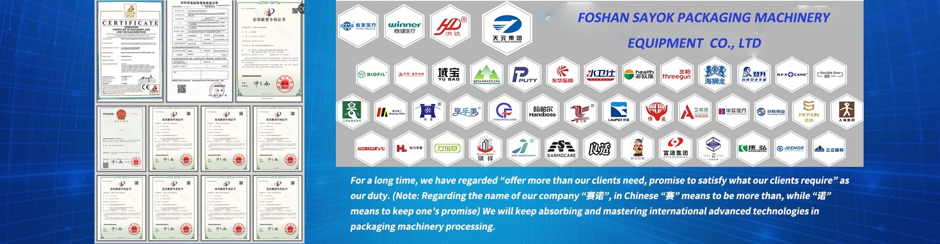 Qualità macchinario d'imballaggio automatico Fabbrica