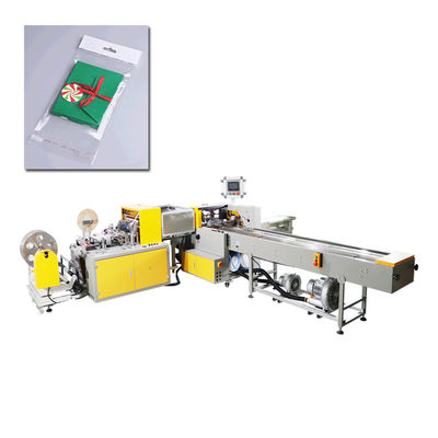 manica d'imballaggio della carta dell'attrezzatura dell'insacchettatrice 13kw di CPP della borsa automatica del film