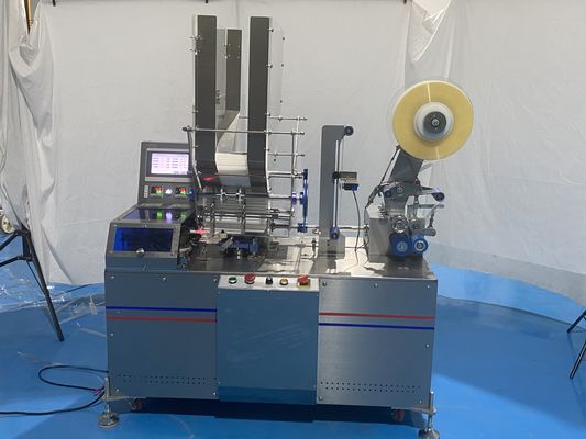 Controllo 1.5KW Straw Packing Machine Bag Type bevente automatico dello SpA